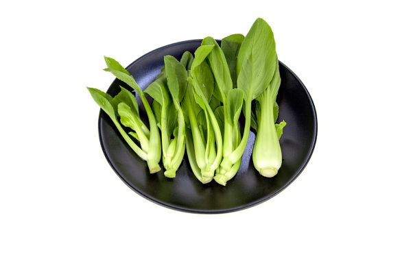 营销策划书包括哪些内容,一个完整的营销策划方案范文